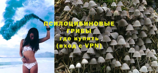 ГАЛЛЮЦИНОГЕННЫЕ ГРИБЫ Алексин