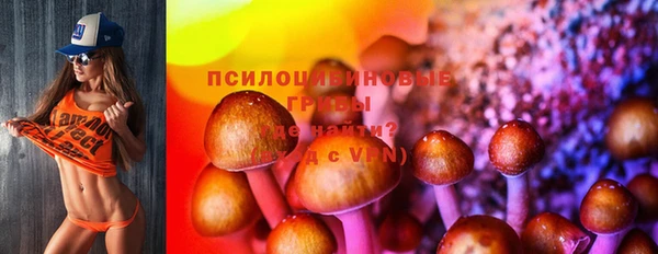 ГАЛЛЮЦИНОГЕННЫЕ ГРИБЫ Алексин