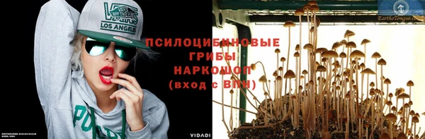 ГАЛЛЮЦИНОГЕННЫЕ ГРИБЫ Алексин