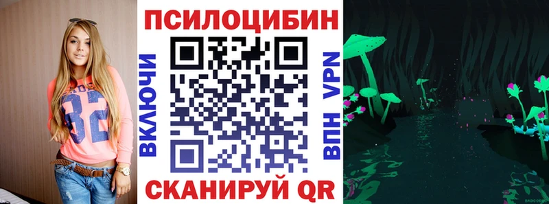 Галлюциногенные грибы Psilocybine cubensis  Осинники 